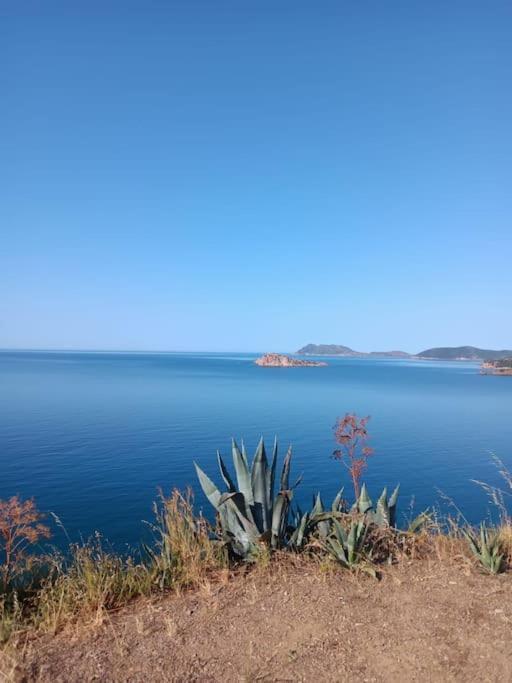 Gli Appartamenti Di Francuzzo テウラーダ エクステリア 写真